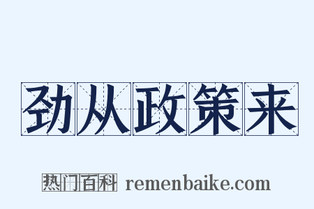 劲从政策来是什么意思的图片